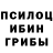 Псилоцибиновые грибы Psilocybine cubensis Alessandro D'Andrea