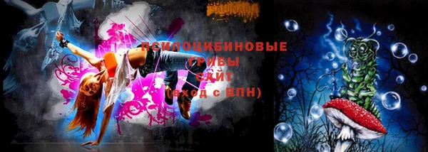 герыч Бронницы