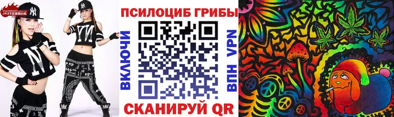 как найти наркотики  Будённовск  Псилоцибиновые грибы MAGIC MUSHROOMS 